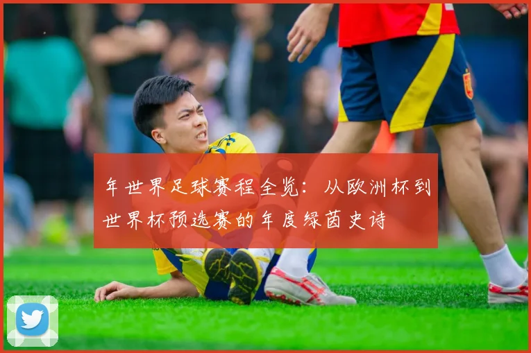 年世界足球赛程全览：从欧洲杯到世界杯预选赛的年度绿茵史诗