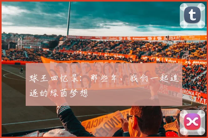 球王回忆录:那些年,我们一起追逐的绿茵梦想
